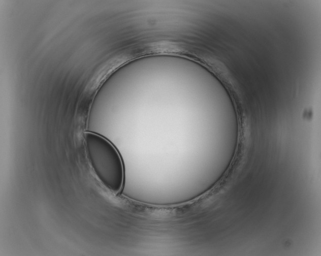 X0000114030889200910021038