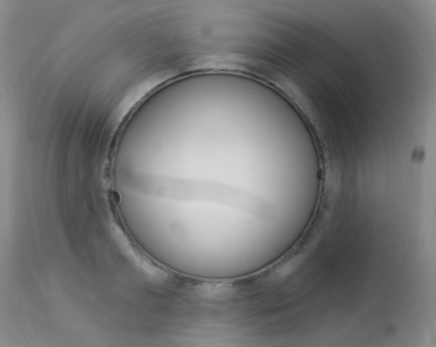 X0000114030893200910021038