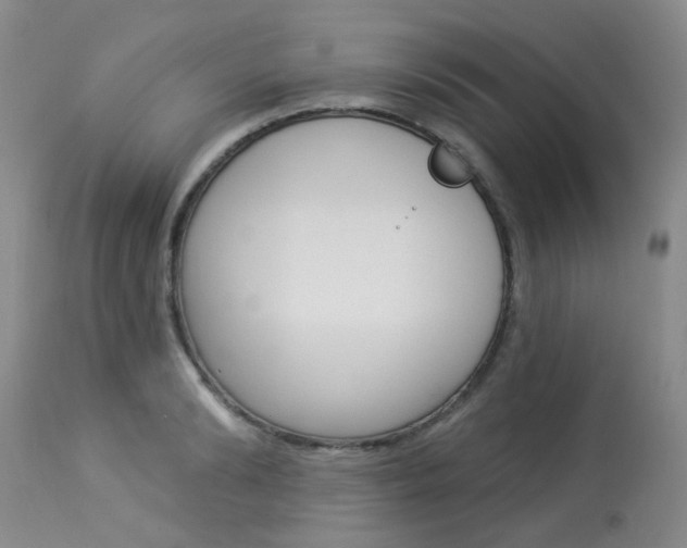 X0000114030894200910021038