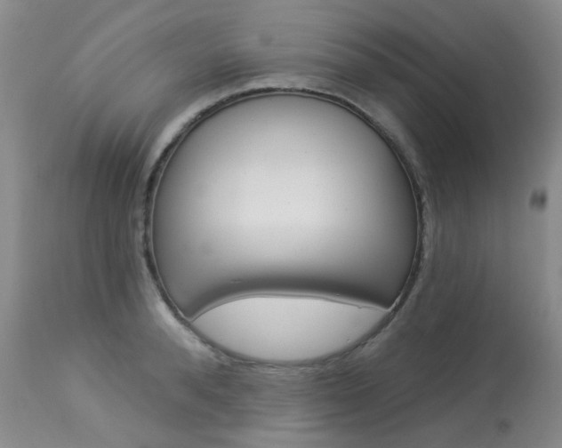 X0000114030896200910021038