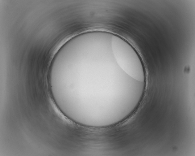 X0000114030901200910021038