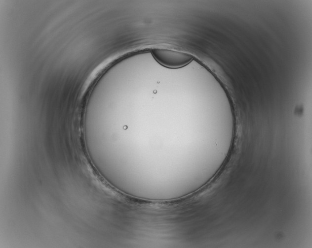 X0000114030904200910021038