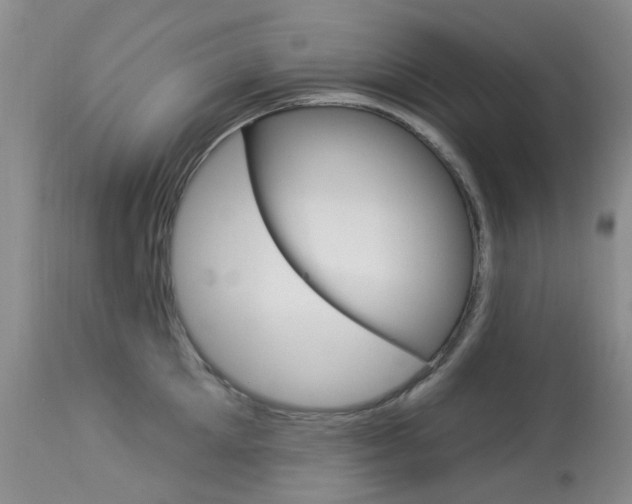 X0000114030905200910021038