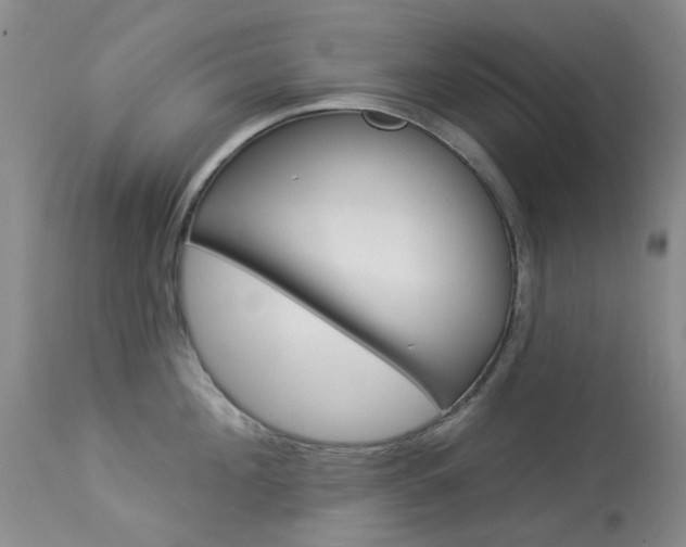X0000114030908200910021038