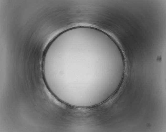 X0000114030910200910021038