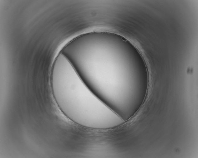 X0000114030912200910021038