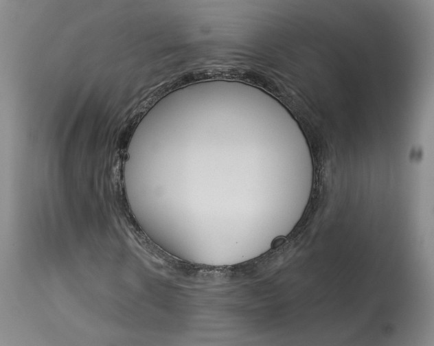 X0000114030914200910021037