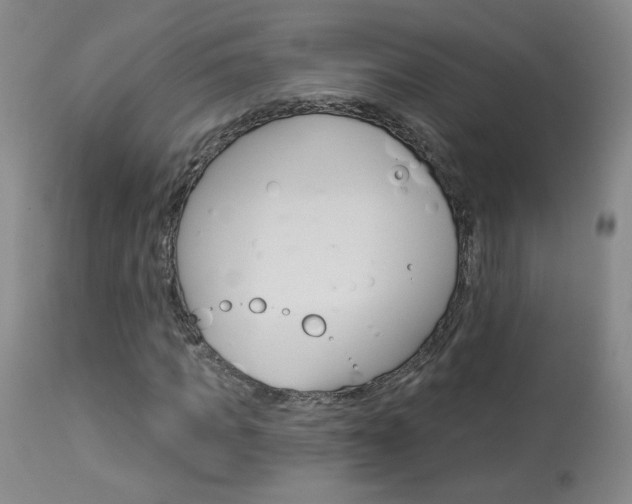 X0000114030917200910021037