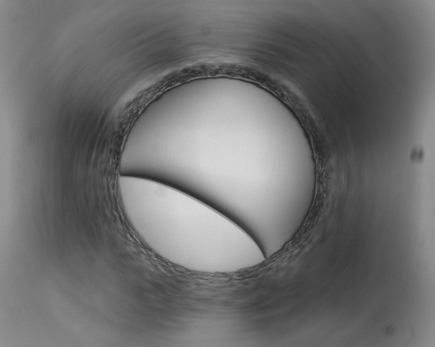 X0000114030919200910021037