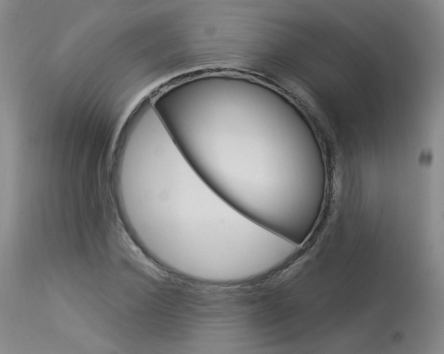 X0000114030924200910021038