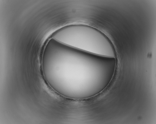 X0000114030936200910021038