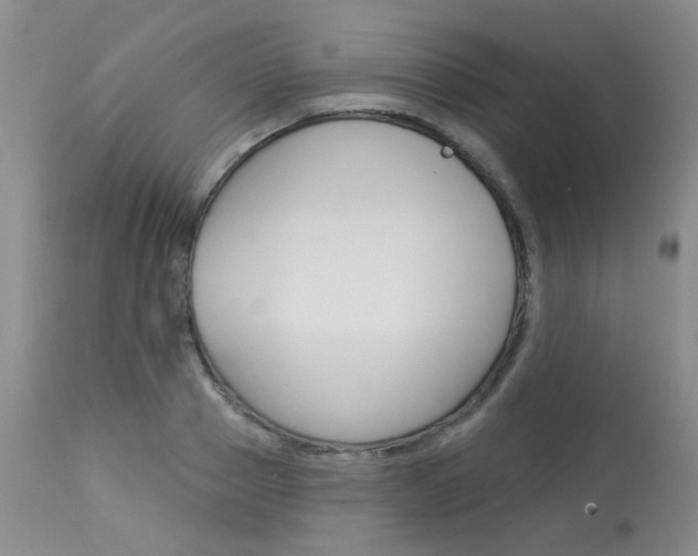X0000114030937200910021038