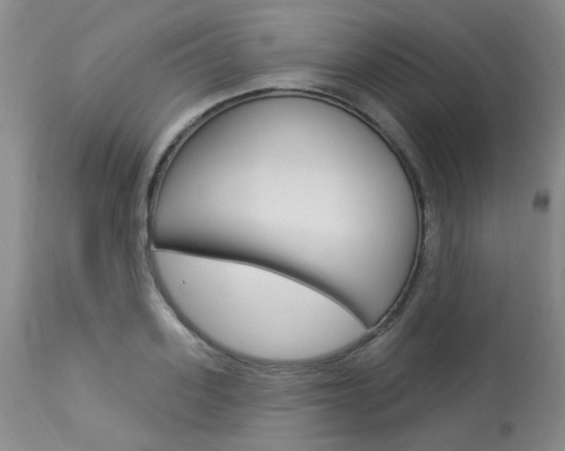X0000114030939200910021038