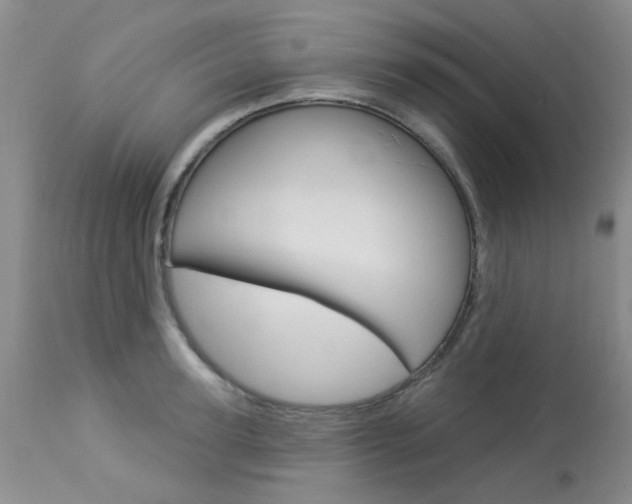 X0000114030947200910021038