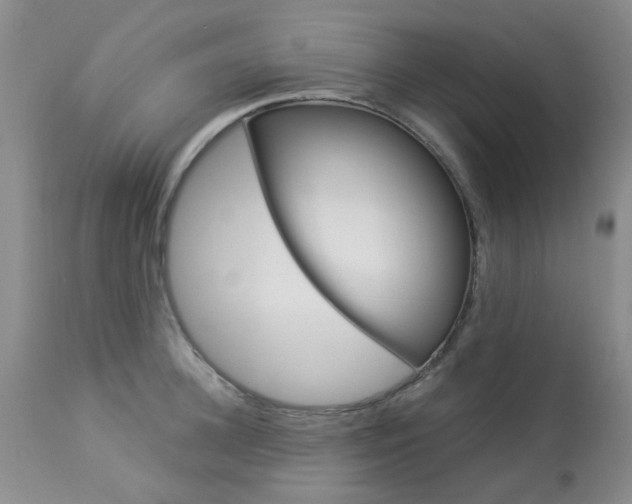 X0000114030948200910021038