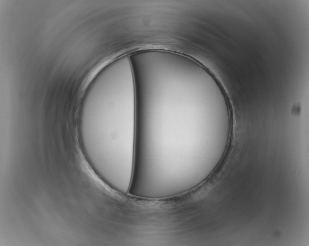 X0000114030949200910021038