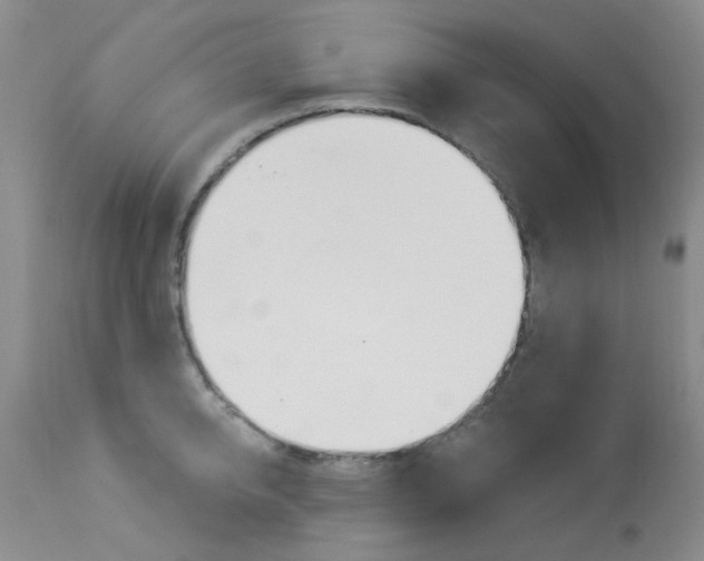 X0000114030950200910021038