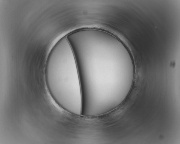 X0000114030951200910021038