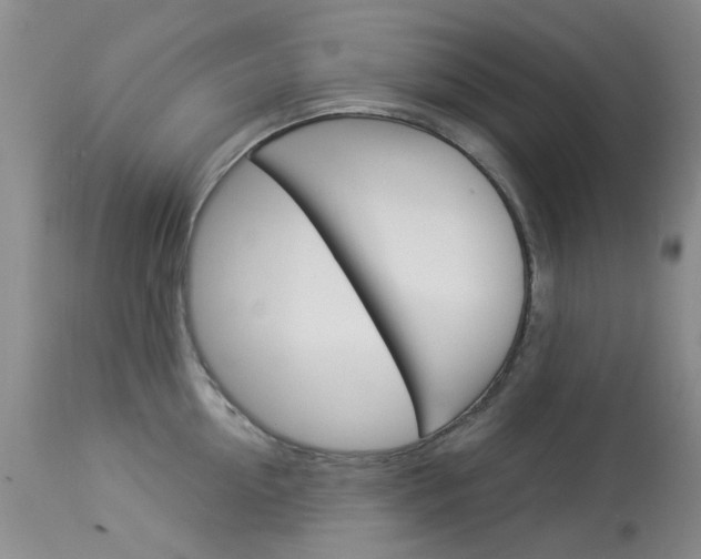 X0000114030954200910021038