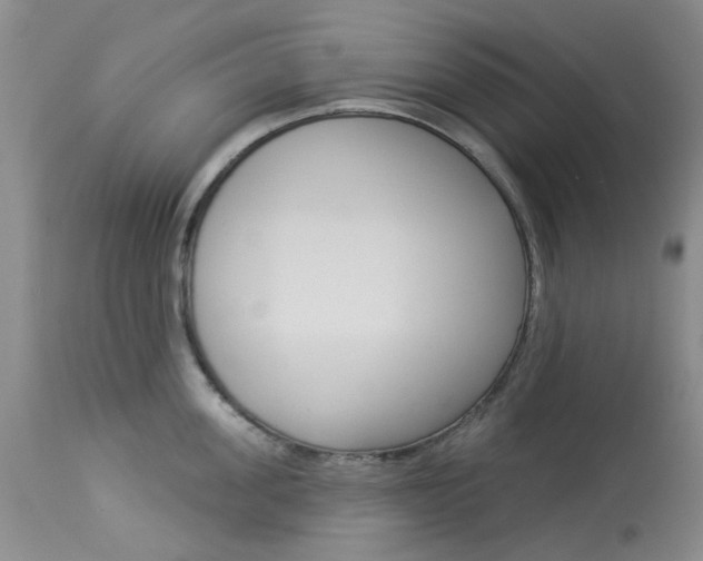 X0000114030955200910021038