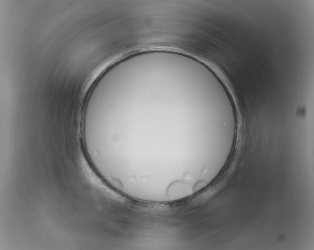 X0000114030957200910021038