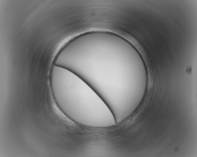 X0000114030958200910021038