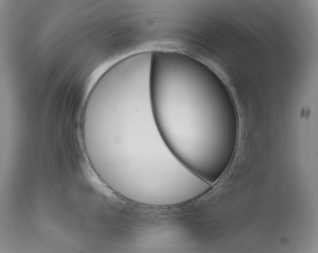 X0000114030960200910021038