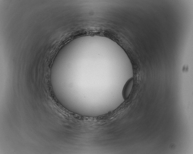 X0000114030961200910021037