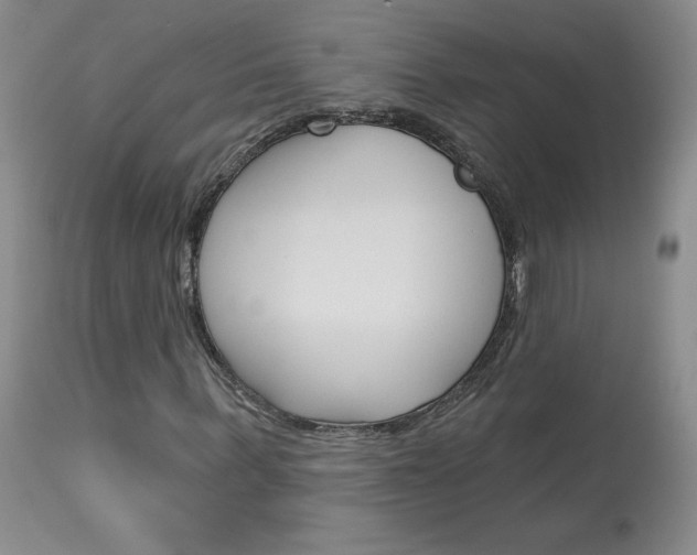 X0000114030963200910021037