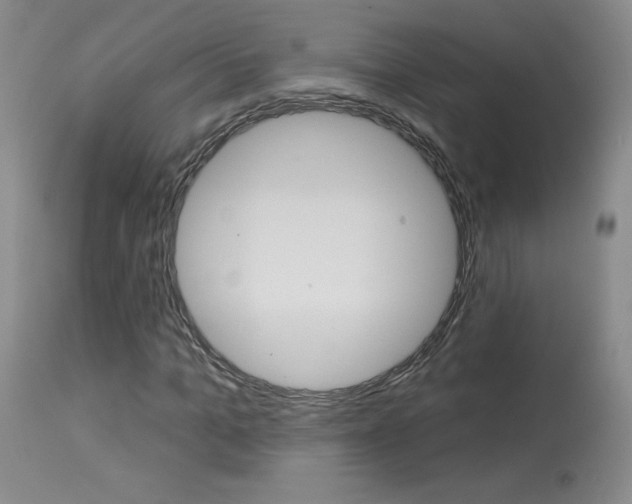 X0000114030965200910021037
