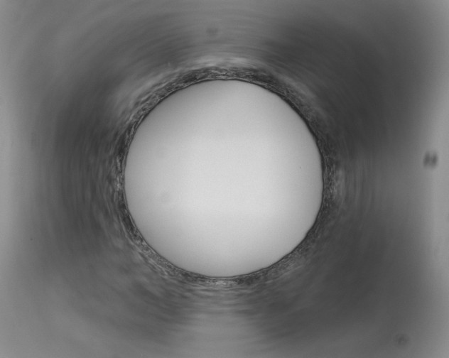 X0000114030966200910021037