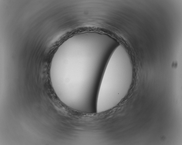 X0000114030968200910021037