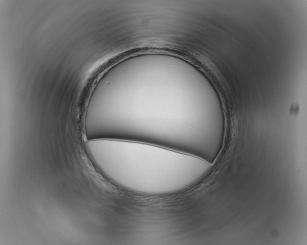 X0000114030971200910021037