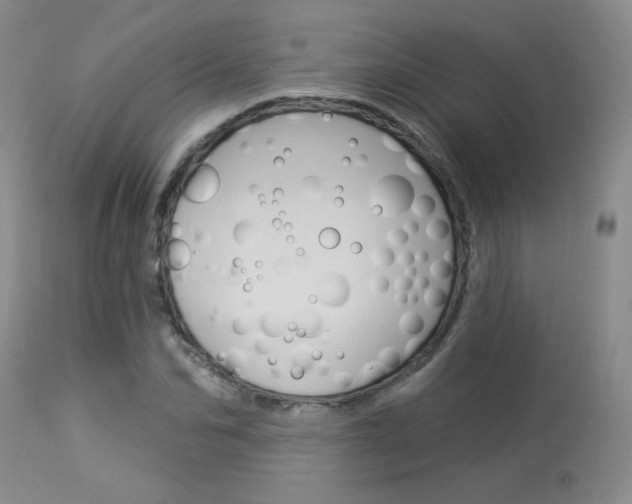 X0000114030974200910021037