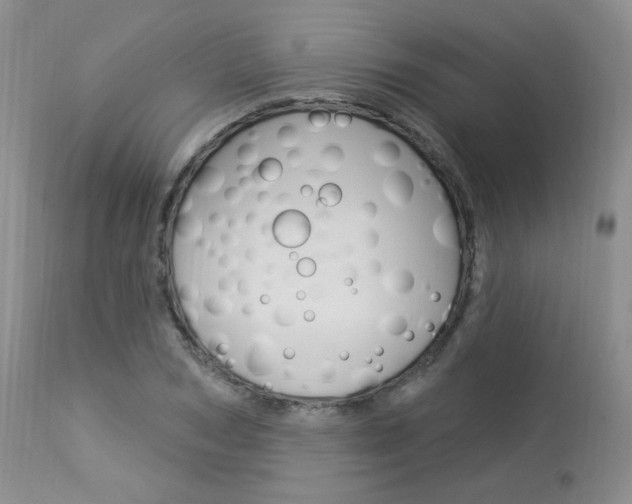 X0000114030978200910021037