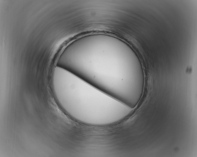 X0000114030979200910021037