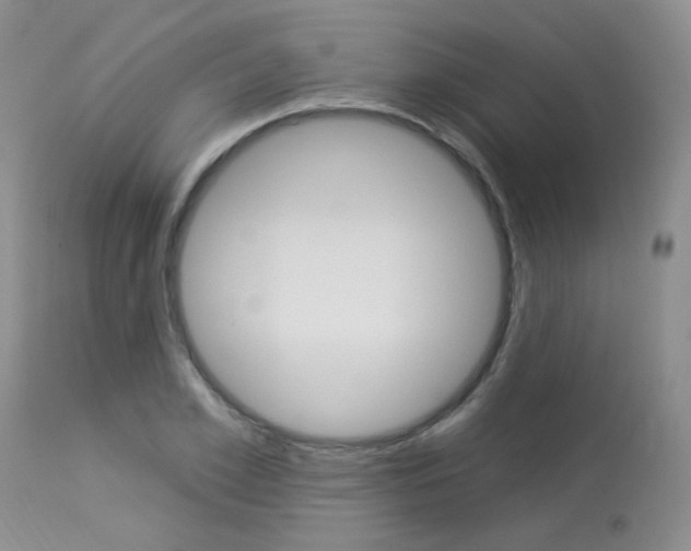 X0000114030981200910021037
