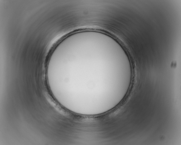X0000114030982200910021037