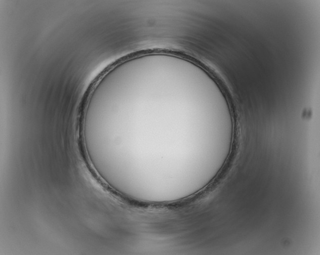 X0000114030983200910021037