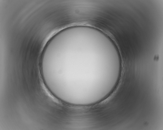 X0000114030989200910021037