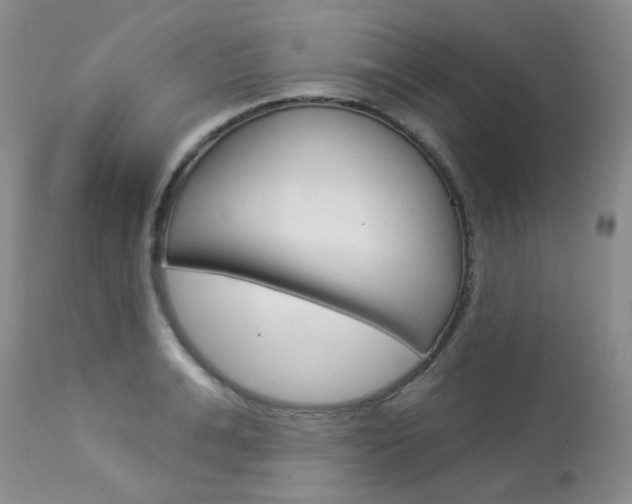 X0000114030991200910021037