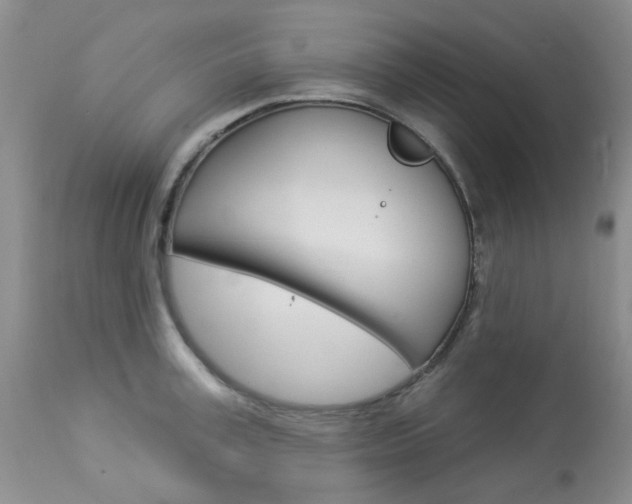X0000114030995200910021037