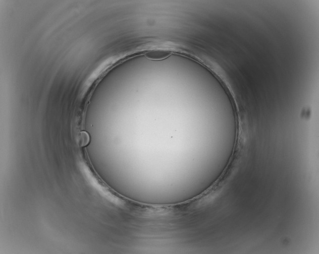 X0000114030997200910021037