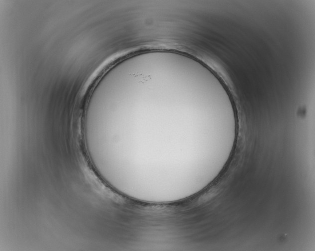 X0000114031000200910021037