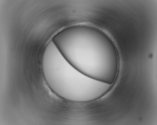X0000114031001200910021037