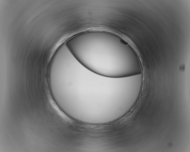X0000114031005200910021036