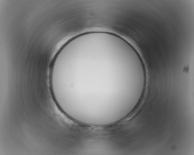 X0000114031006200910021036