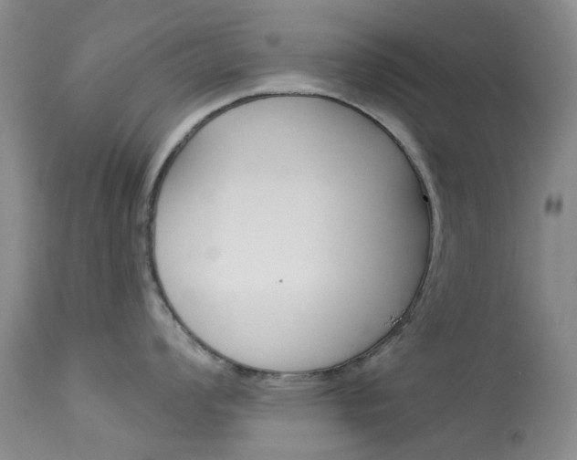 X0000114031008200910021036