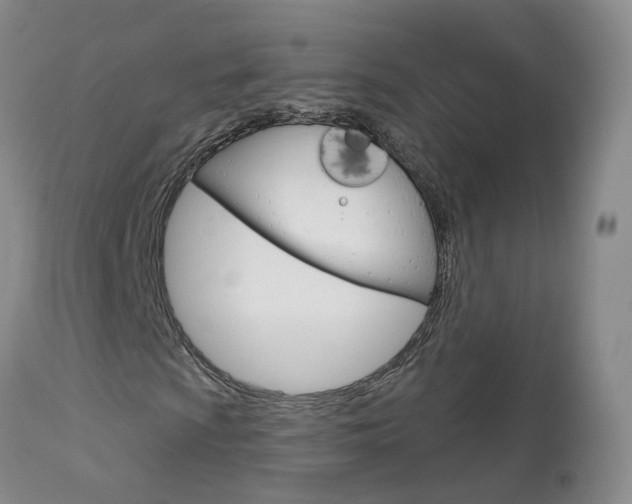 X0000114031009200910021036