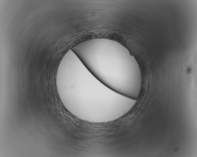 X0000114031010200910021036